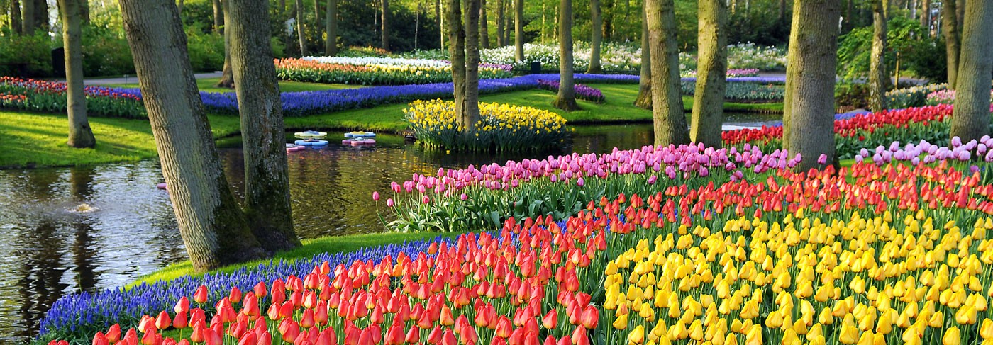 Du lịch Xuân tại Hà Lan