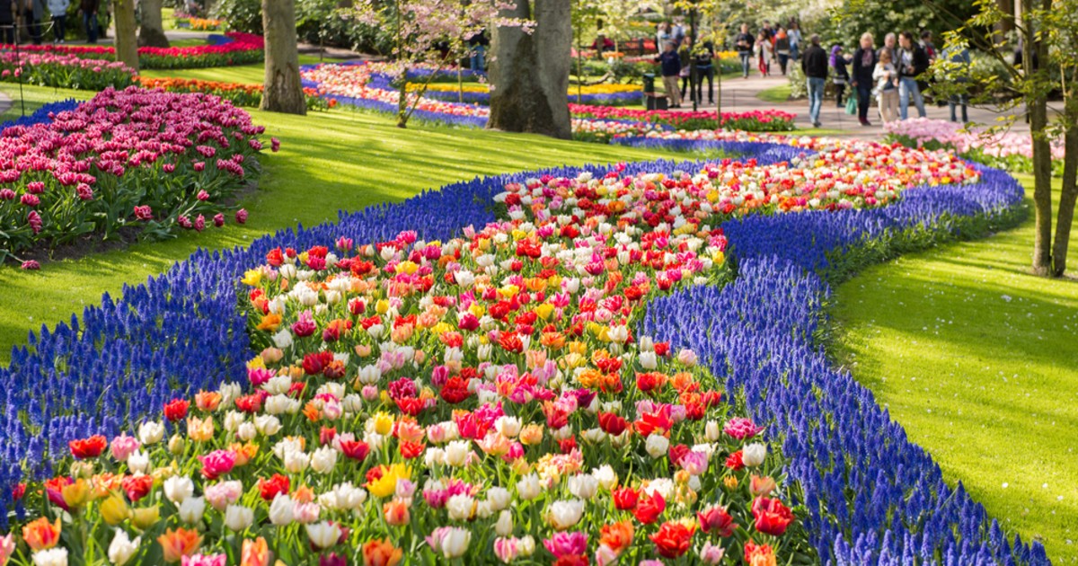 Vì sao Keukenhof được chọn làm địa điểm tổ chức Lễ hội hoa tulip Hà Lan 2019?
